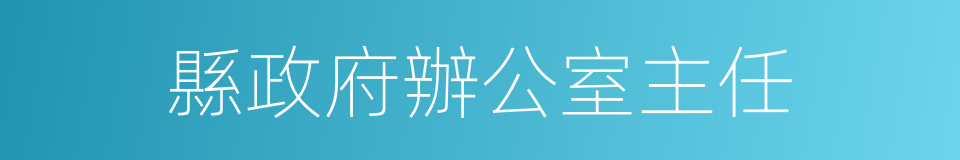 縣政府辦公室主任的同義詞