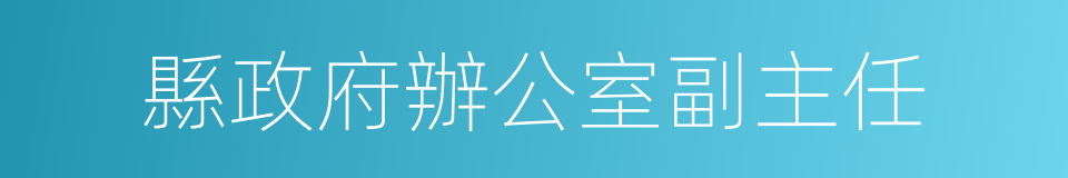 縣政府辦公室副主任的同義詞