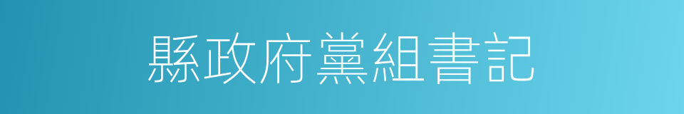 縣政府黨組書記的同義詞