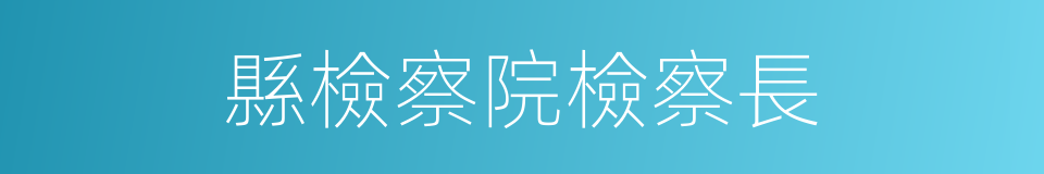 縣檢察院檢察長的同義詞