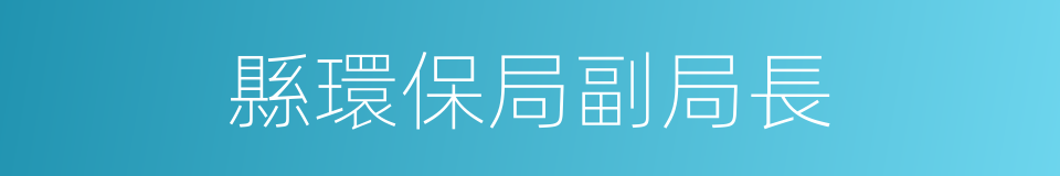 縣環保局副局長的同義詞