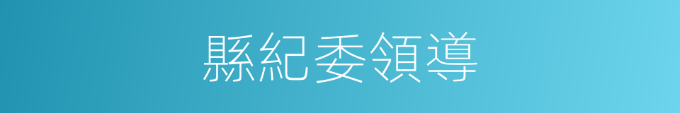 縣紀委領導的同義詞