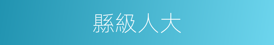 縣級人大的同義詞