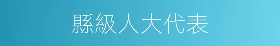 縣級人大代表的同義詞