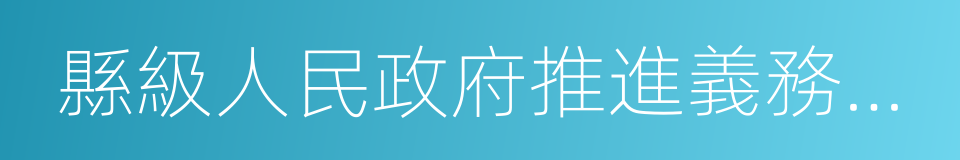 縣級人民政府推進義務教育均衡發展工作情況的同義詞