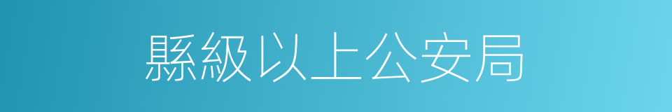 縣級以上公安局的同義詞
