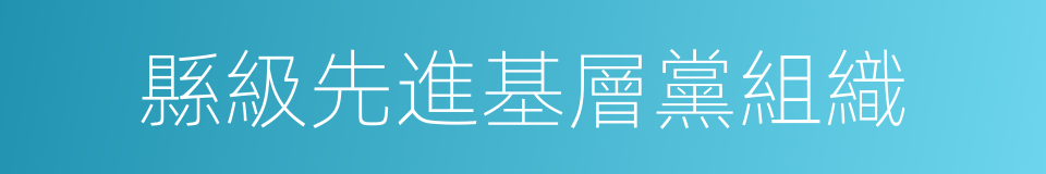 縣級先進基層黨組織的同義詞