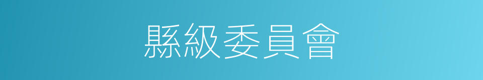 縣級委員會的同義詞