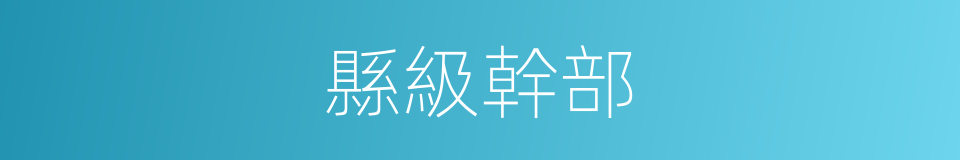縣級幹部的同義詞