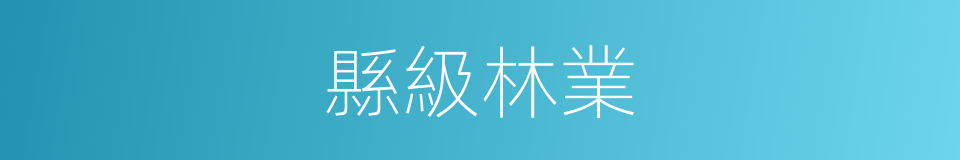 縣級林業的同義詞