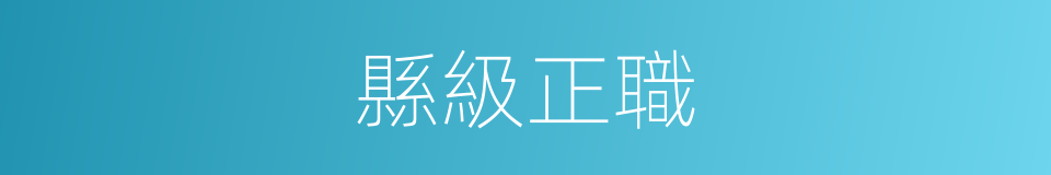 縣級正職的同義詞