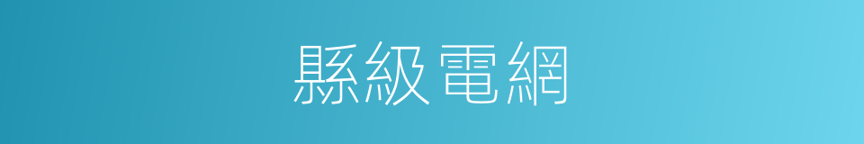 縣級電網的同義詞