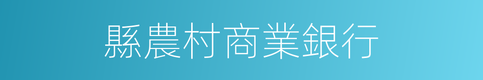 縣農村商業銀行的同義詞