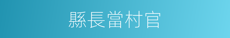 縣長當村官的同義詞