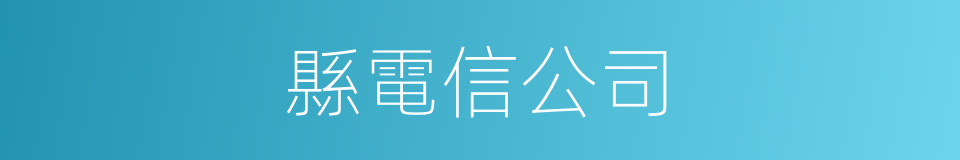 縣電信公司的同義詞