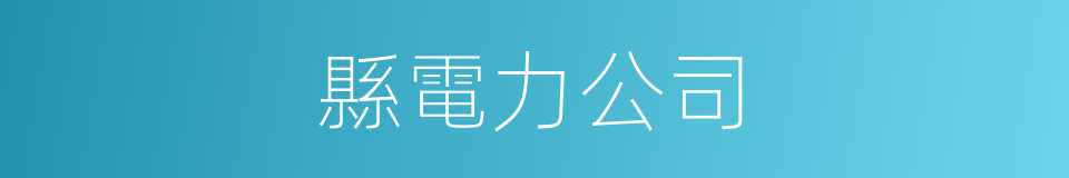 縣電力公司的同義詞