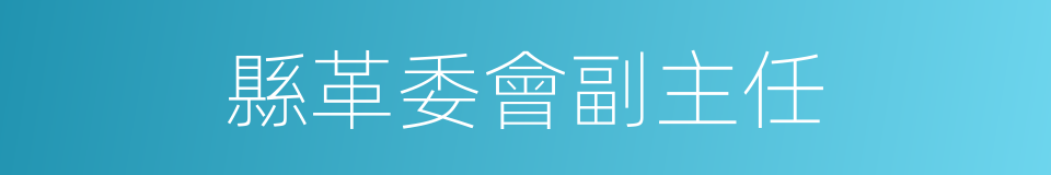 縣革委會副主任的同義詞