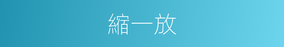 縮一放的同義詞