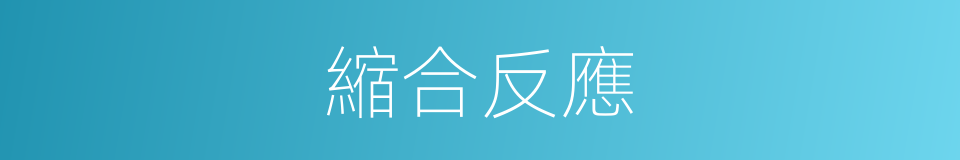 縮合反應的意思