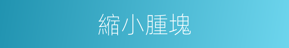 縮小腫塊的同義詞
