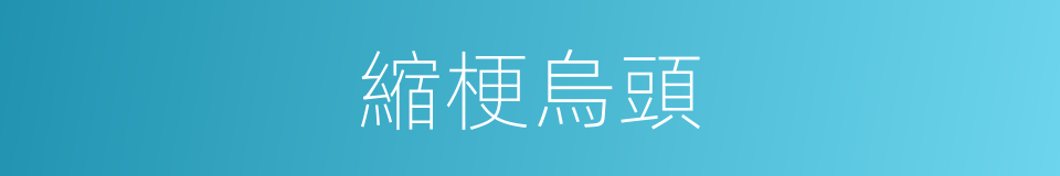 縮梗烏頭的同義詞