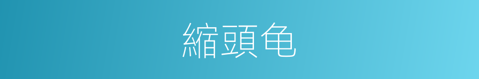 縮頭龟的意思