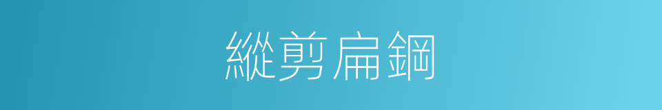 縱剪扁鋼的同義詞