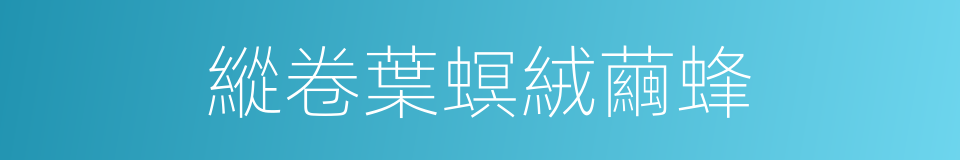 縱卷葉螟絨繭蜂的同義詞