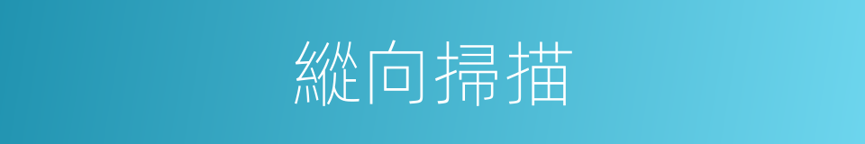 縱向掃描的同義詞
