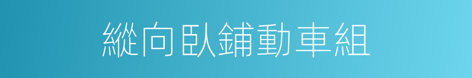 縱向臥鋪動車組的同義詞