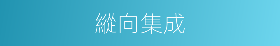 縱向集成的同義詞