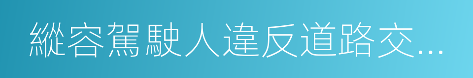 縱容駕駛人違反道路交通安全法律的同義詞