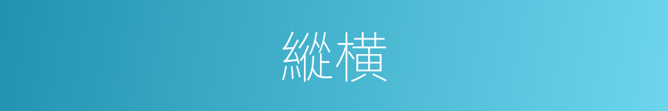 縱横的意思