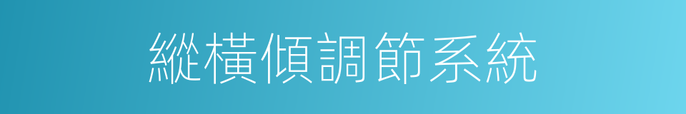 縱橫傾調節系統的同義詞