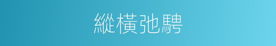 縱橫弛騁的意思