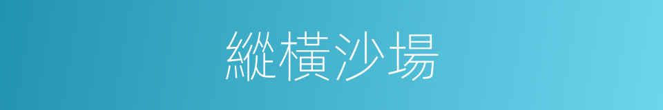 縱橫沙場的同義詞