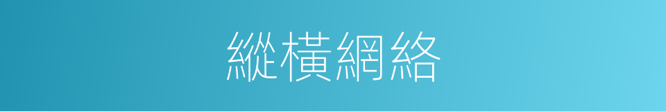 縱橫網絡的同義詞