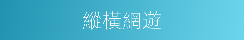 縱橫網遊的同義詞