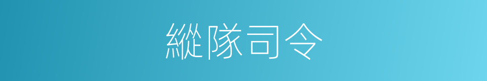 縱隊司令的同義詞