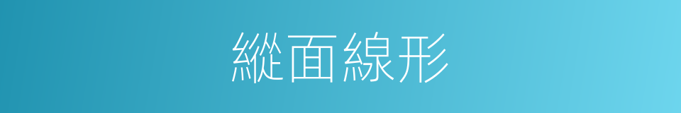 縱面線形的同義詞