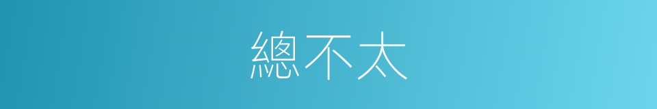 總不太的同義詞