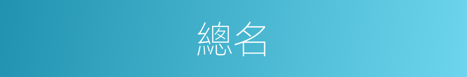 總名的意思