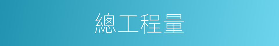 總工程量的同義詞