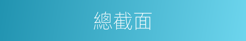 總截面的同義詞