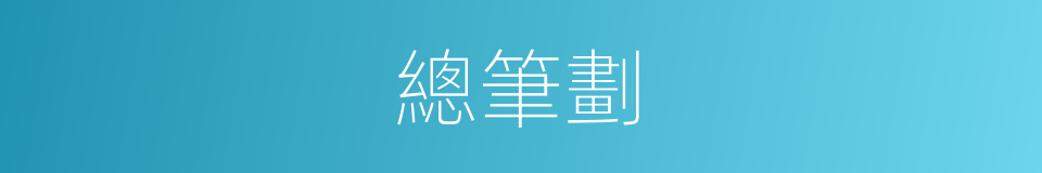 總筆劃的意思