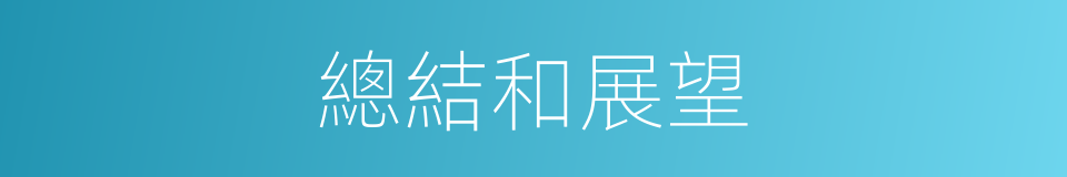 總結和展望的同義詞