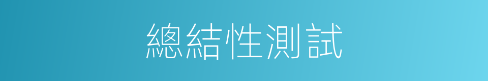 總結性測試的同義詞