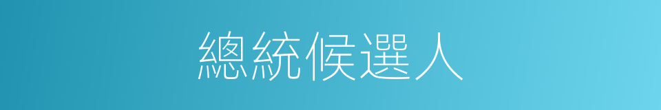 總統候選人的同義詞