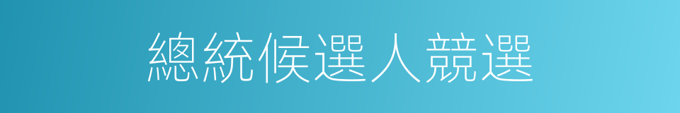 總統候選人競選的同義詞