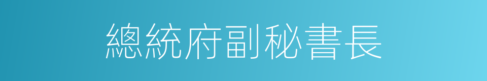 總統府副秘書長的同義詞